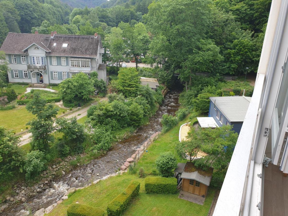 Apartz - Bad Harzburg - Apartment Mit Sauna In Idealer Lage Mit Bergblick Kültér fotó