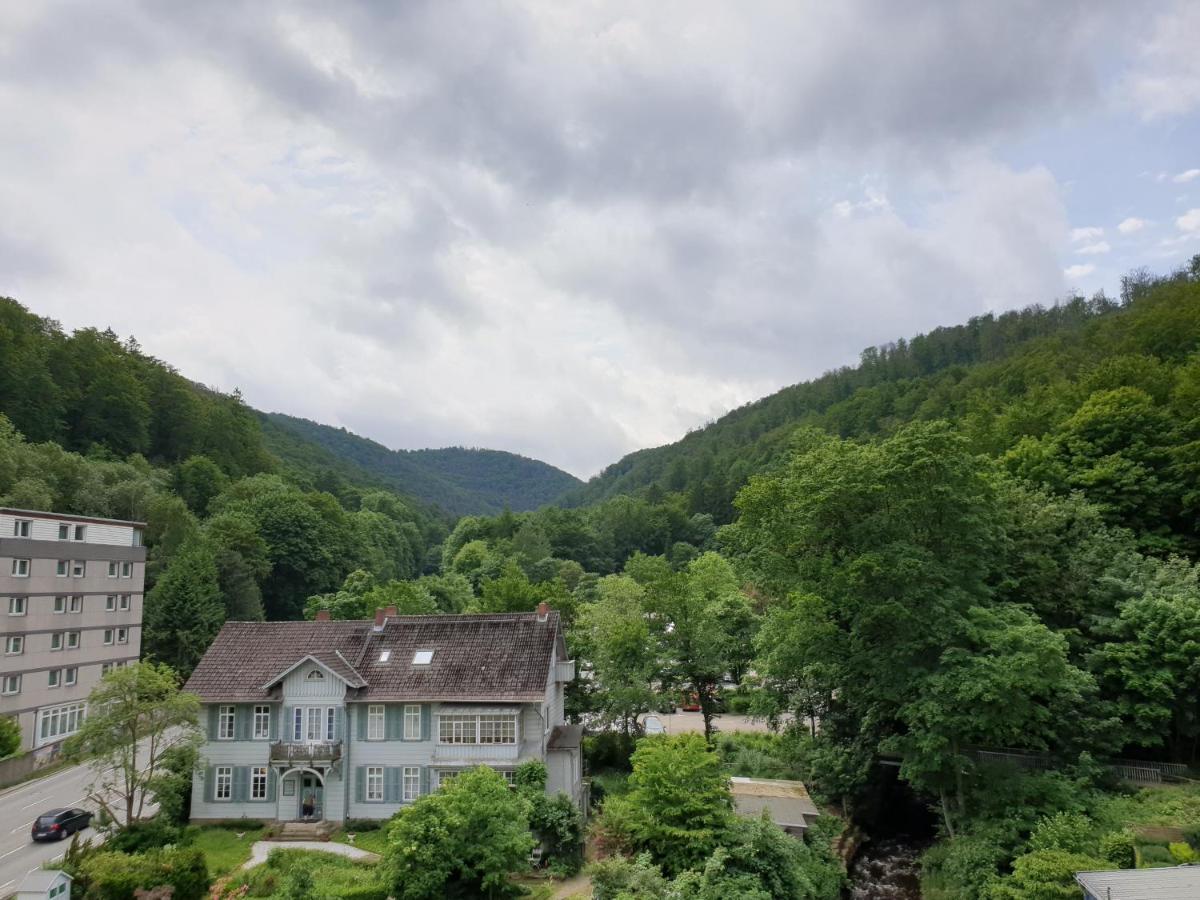Apartz - Bad Harzburg - Apartment Mit Sauna In Idealer Lage Mit Bergblick Kültér fotó